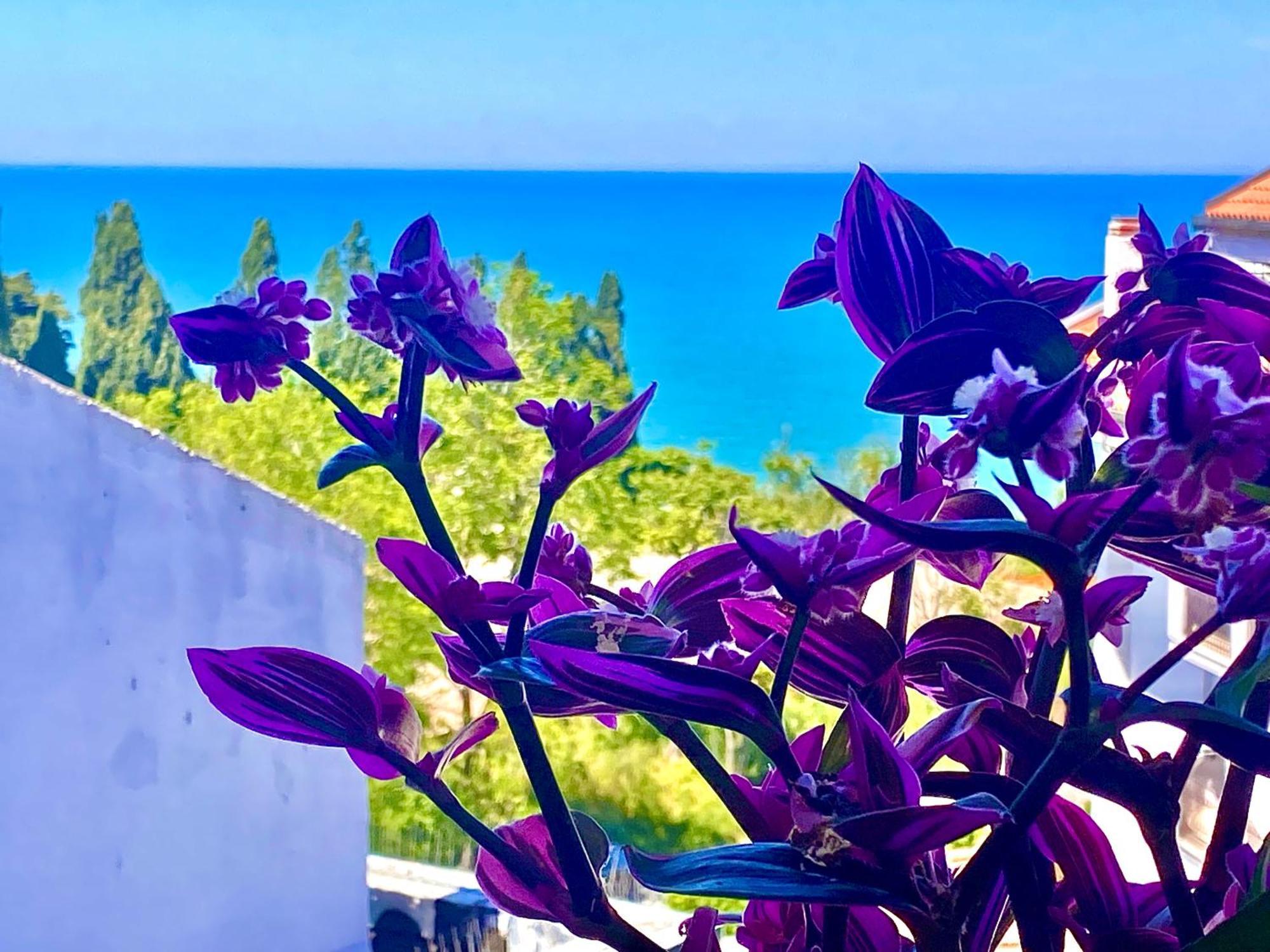 Casazzurra Apartment Ortona Ngoại thất bức ảnh